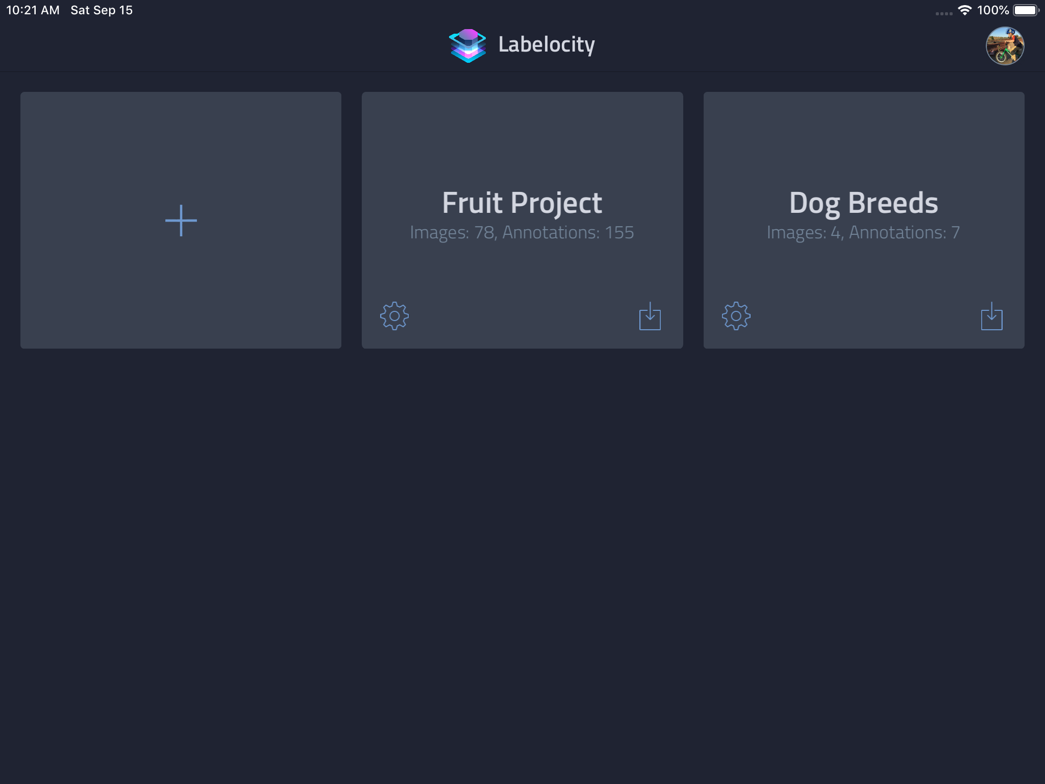 Labelocity - Image Annotation screenshot 6
