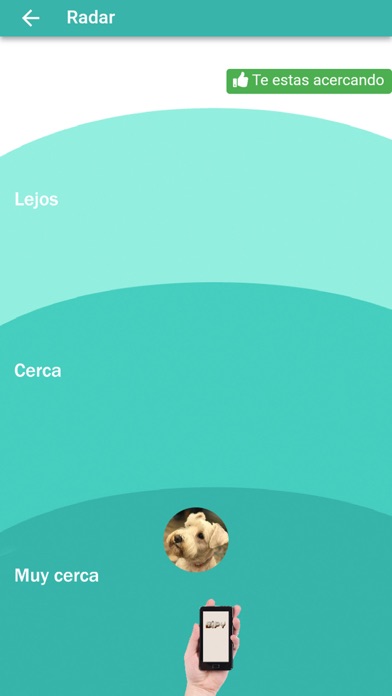 Screenshot #3 pour Personal Bipy Mascotas