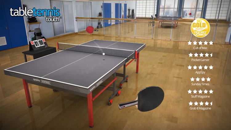 Table Tennis Touch screenshot-0