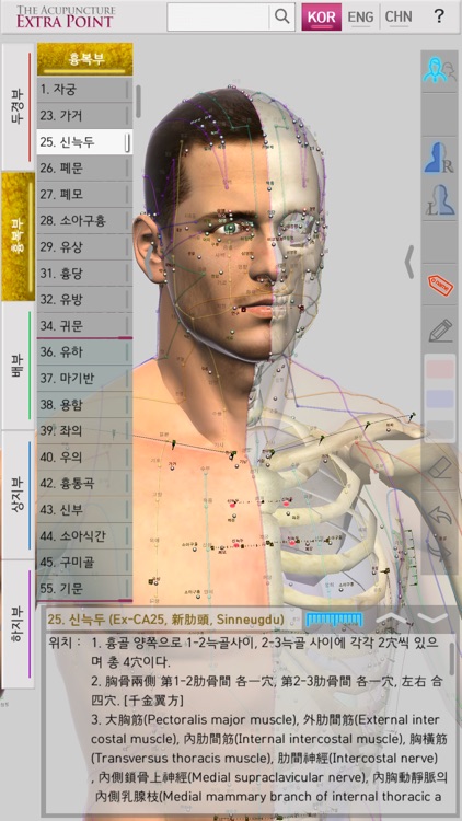 The Acupuncture of Extra Point