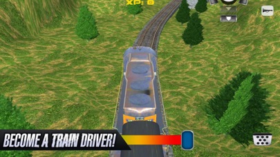 Train Driver Express 3D screenshot 2