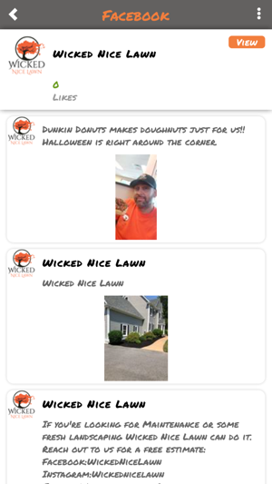 Wicked Nice Lawn(圖3)-速報App