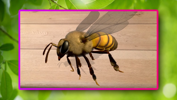 Superinsekten 3D screenshot-4