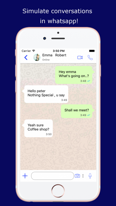 Fake Funny Whats Chat Screenshot