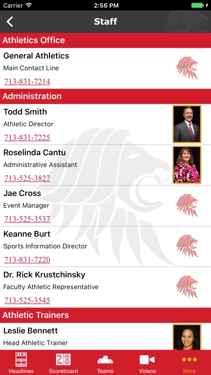 University of St. Thomas screenshot-4