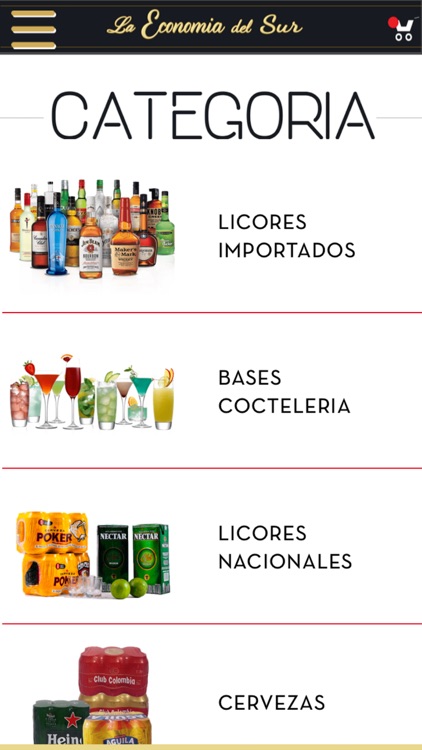 La economía del sur