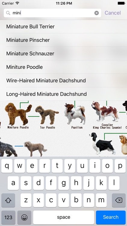 Dog Breeds - for dog lovers -