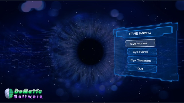 Anatomy Human Eye