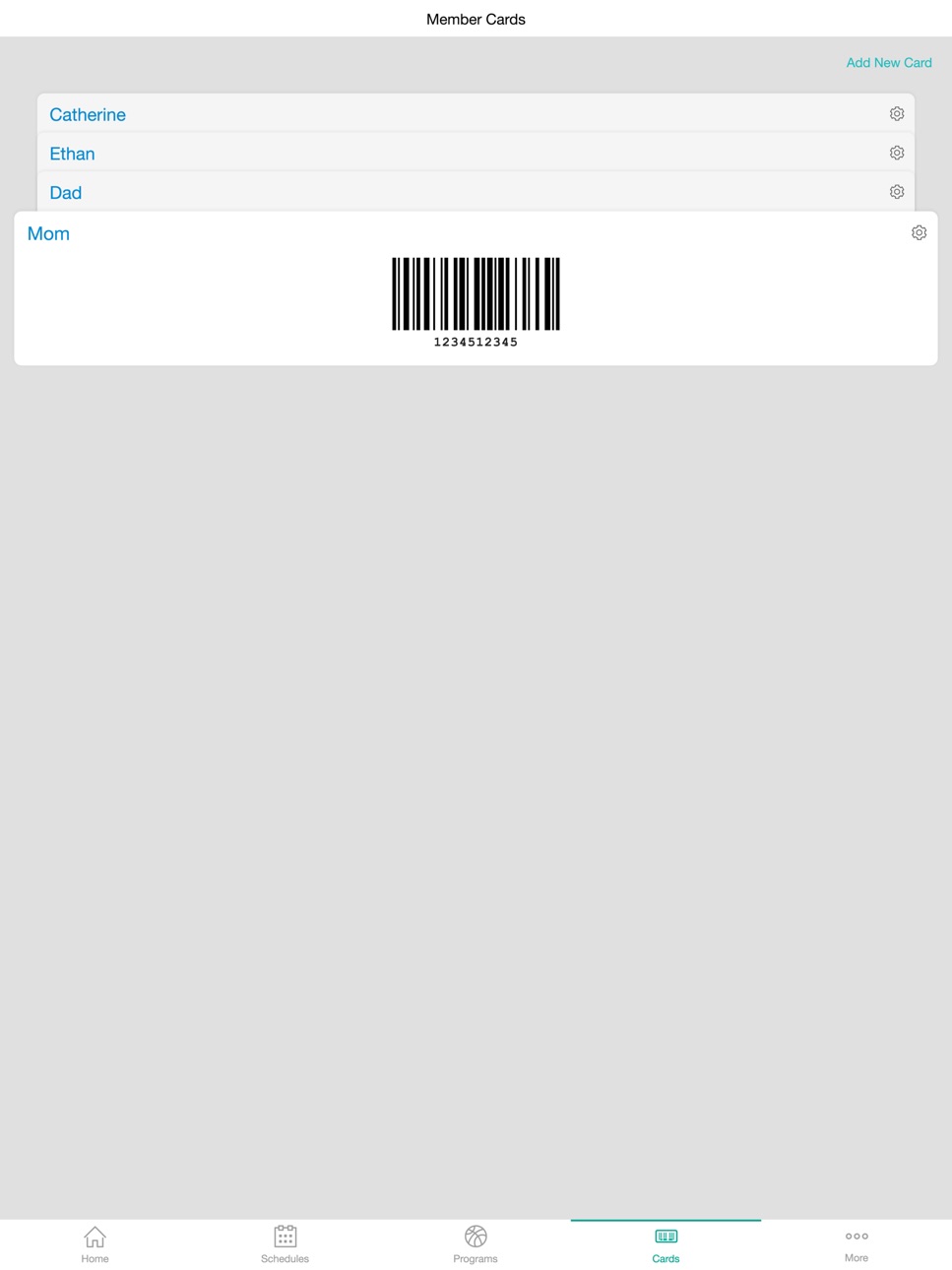 iPad screenshot