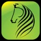 This is a horse management tool