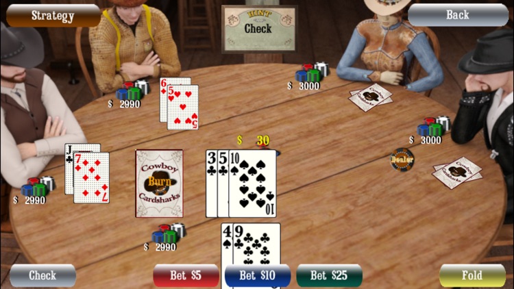 Cowboy Cardsharks Hold'em screenshot-3