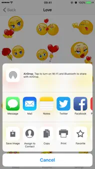 Adult Emojis Smiley Face Text iphone bilder 2