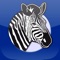 Jetzt gibt es Zebra Oldies als offizielle App für's Smartphone