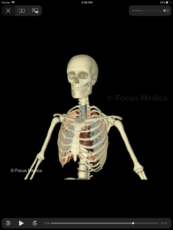 Junior Anatomía iPad screenshot 4 - Medical app