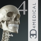 Essential Skeleton 4