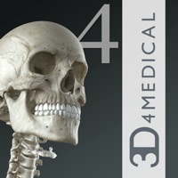 Essential Skeleton 4 apk