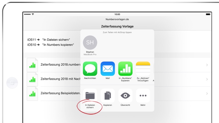 Zeiterfassung 2018 für Numbers screenshot-4