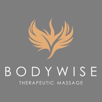 BodyWise Therapeutic Massage PC 용