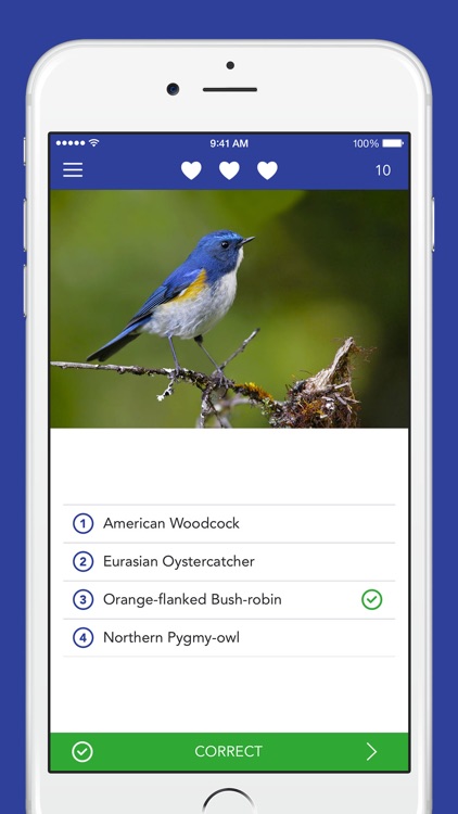 iKnow Birds PRO - USA screenshot-3