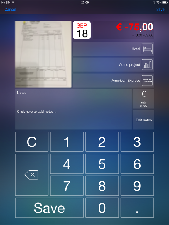Live Expenses iPad screenshot 2 - Finance app
