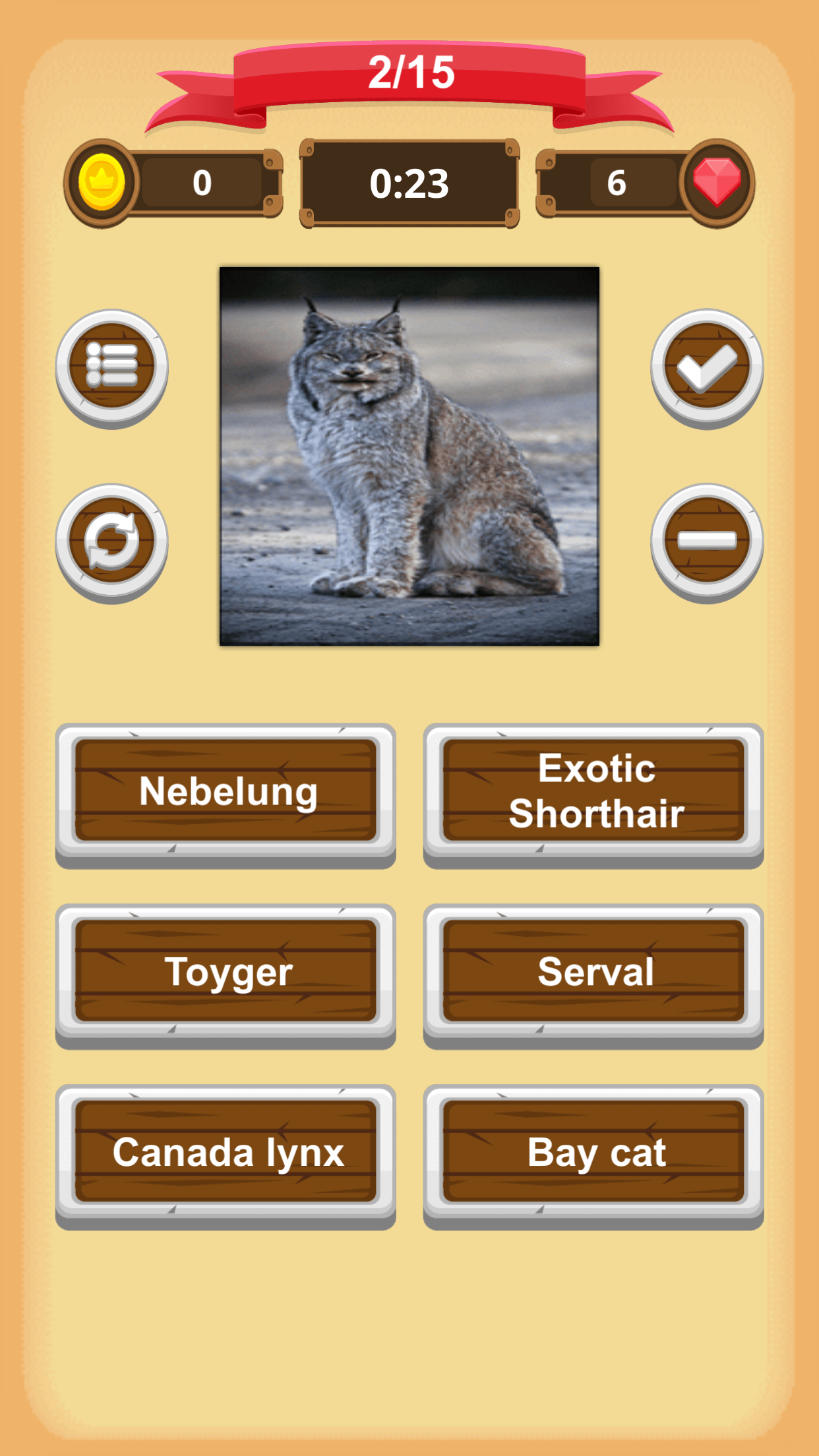 Cats - Quiz