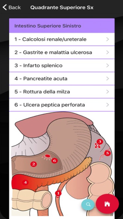 Il Dolore Addominale screenshot-3