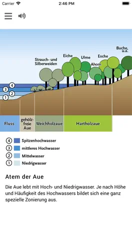 Game screenshot Draußen im Fluss hack