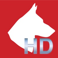 Canine Acupuncture Point HD sur PC