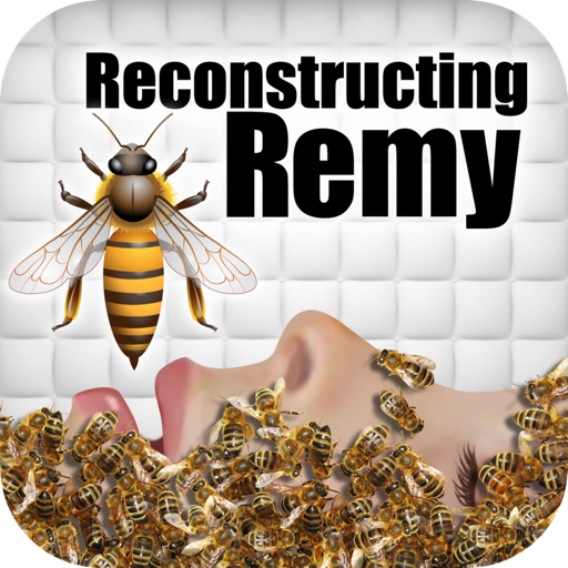 Reconstructing Remy: An Interactive Novel