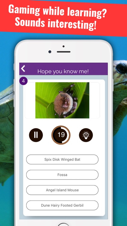 Animals & Birds Encyclopedia screenshot-4