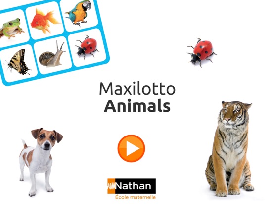 Maxilotto Animals