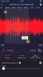 диктофон - запись рекорд голо айфон картинки 2