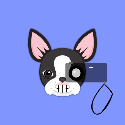 Boston Terrier Photo Booth icon