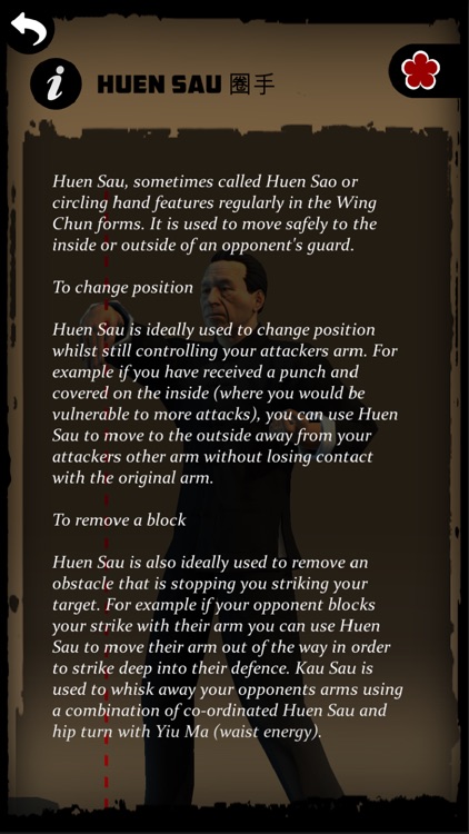 Ip Man Wing Chun Kung Fu : SLT