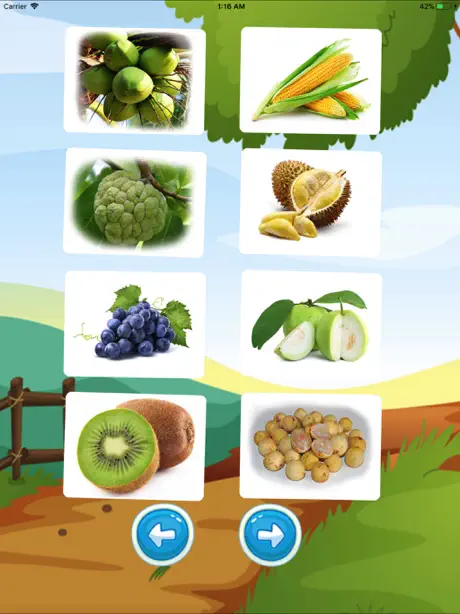 Fruit English Vocabulary Sound