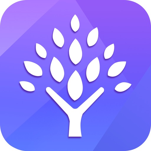 Mind Map - Lucid chart mapping