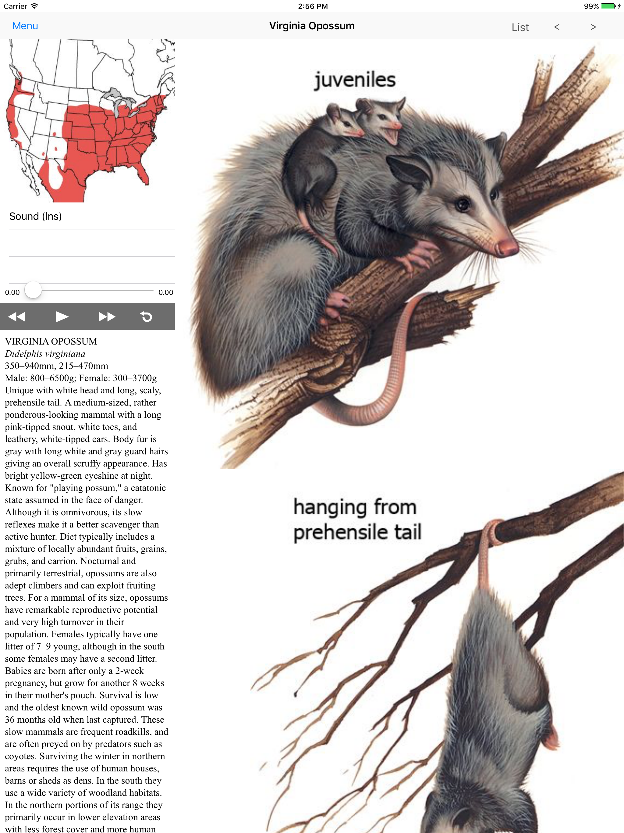 Mammals of North America