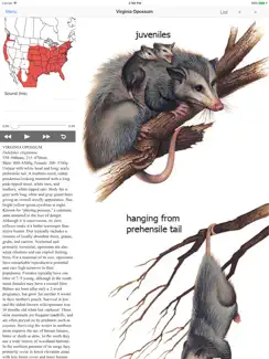 Mammals of North America iPad image 1