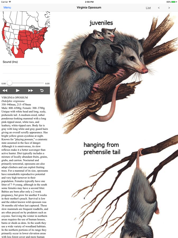 Screenshot #4 pour Mammals of North America