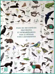 animalia by vinci autoroutes iPad Captures Décran 1