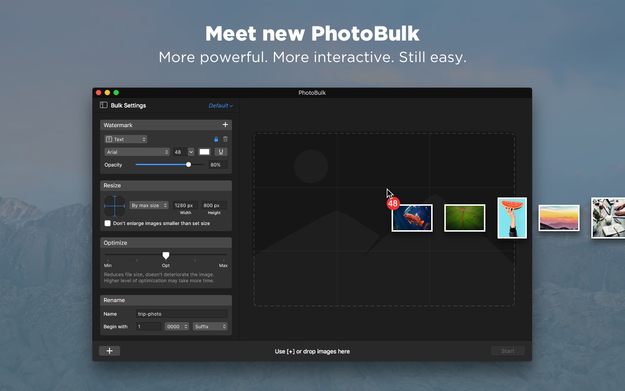 Screenshot do app PhotoBulk: watermark in batch