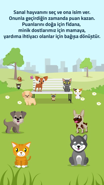 Nok Sosyal screenshot-5