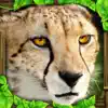 Cheetah Simulator App Delete