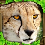 Download Cheetah Simulator app