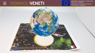 VIGNAIOLI VENETI screenshot 2