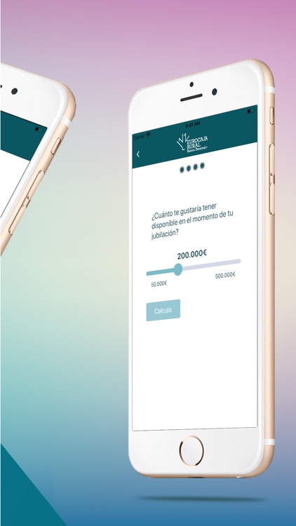 Tu Jubilación screenshot-3