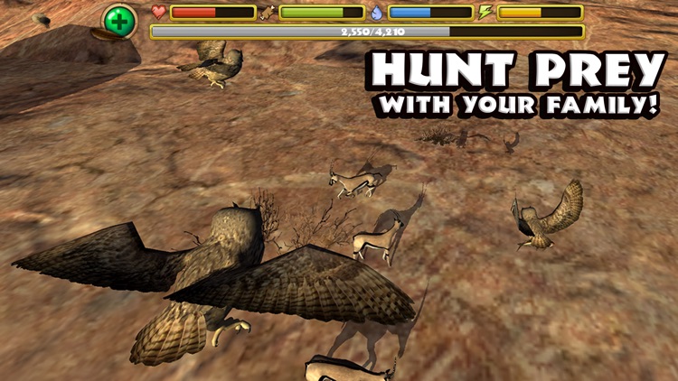 Owl Simulator screenshot-3