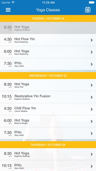 Blue Sol Yoga screenshot 3