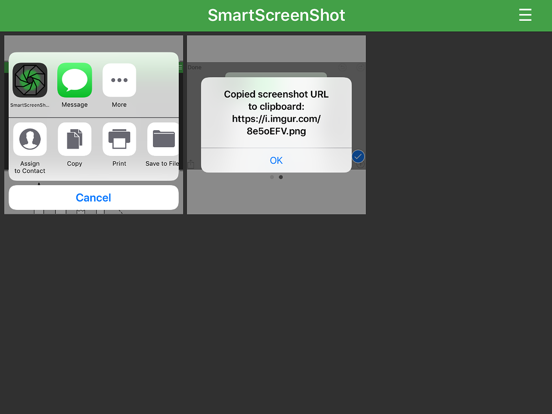 Screenshot #6 pour Smart ScreenShot