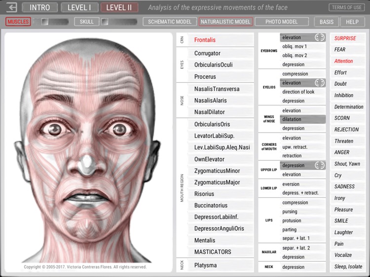 ARTNATOMYA (in english) screenshot-3